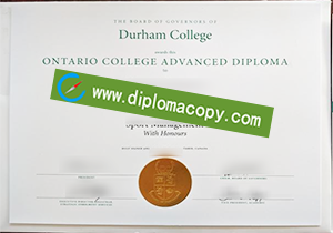 buy fake Durham College degree