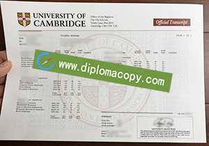 buy fake University of Cambridge transcript