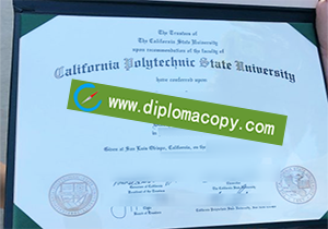 buy Cal Poly San Luis Obispo fake degree