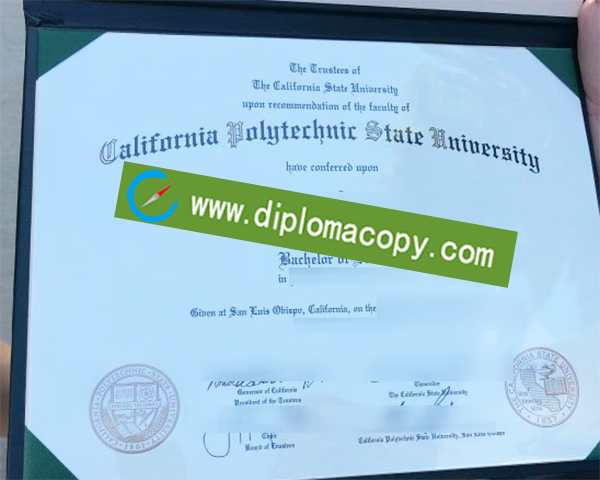 Cal Poly San Luis Obispo degree, California Polytechnic State University diploma
