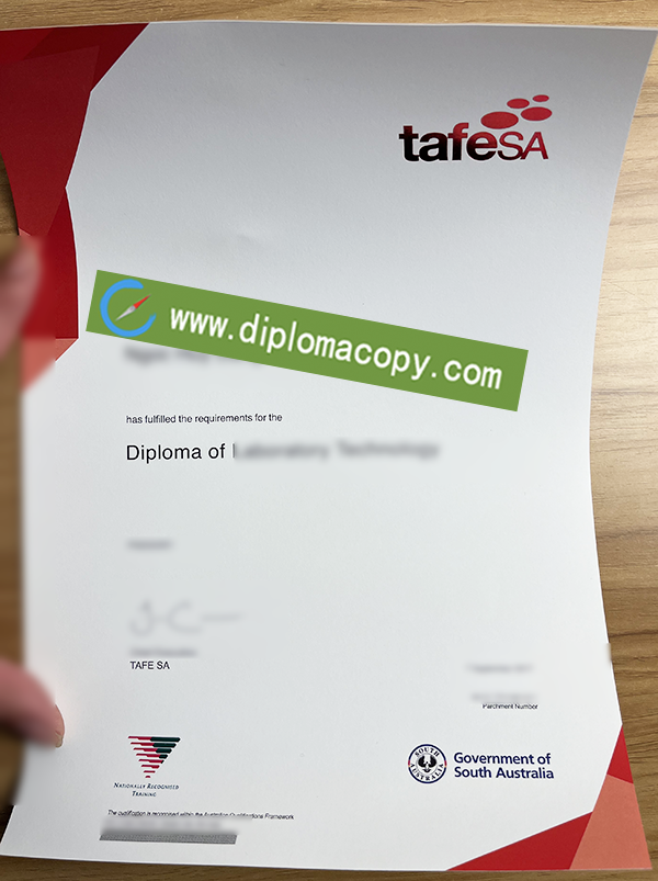 TAFE SA certificate, TAFE fake certificate