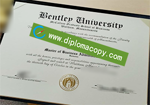 buy fake Bentley University diploma