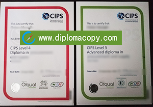 buy fake CIPS diploma