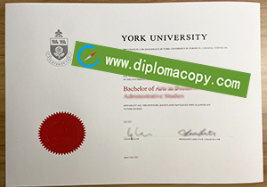 buy fake York University diploma