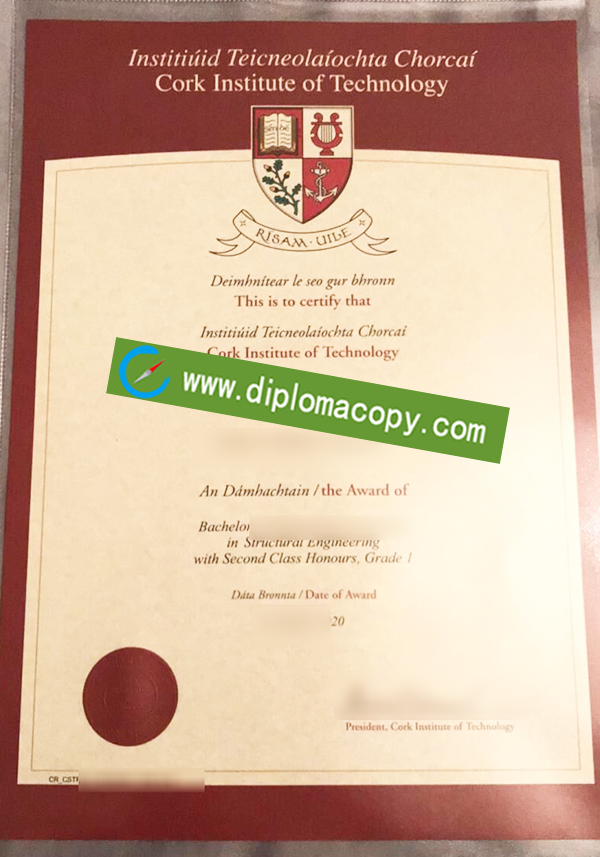 Cork Institute of Technology diploma, CIT fake degree