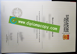 buy fake Singapore Polytechnic diploma