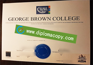 buy fake George Brown College certificate