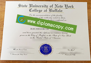 buy fake SUNY Buffalo diploma