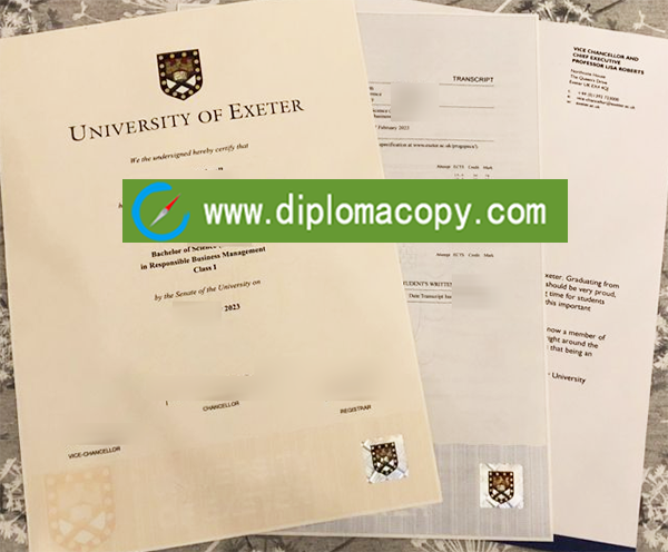University of Exeter diploma, University of Exeter transcript
