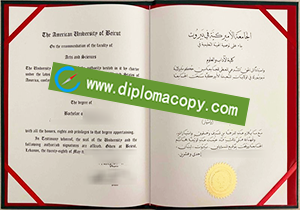 buy fake American University of Beirut degree