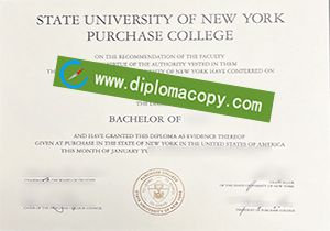 buy SUNY Purchase fake diploma
