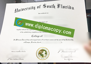 buy fake University of South Florida degree