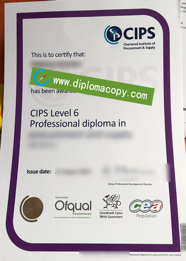 CIPS level diploma, fake CIPS certificate