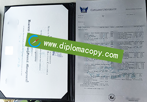 buy fake Capilano University diploma transcript