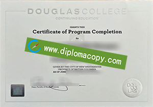 buy Douglas College fake diploma