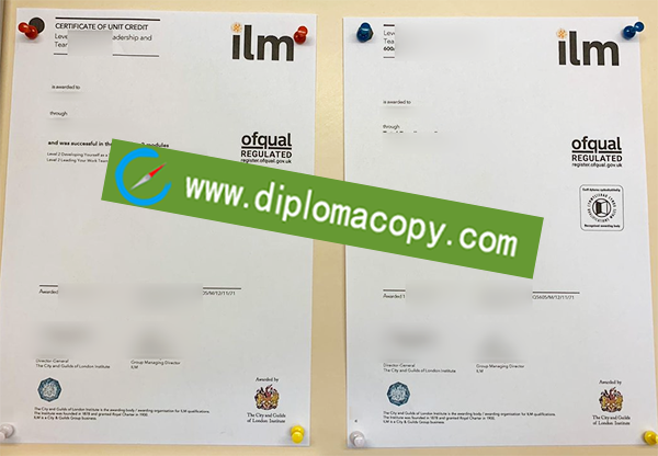 ILM certificate, fake City & Guilds diploma