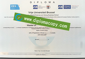buy Vrije Universiteit Brussel fake degree