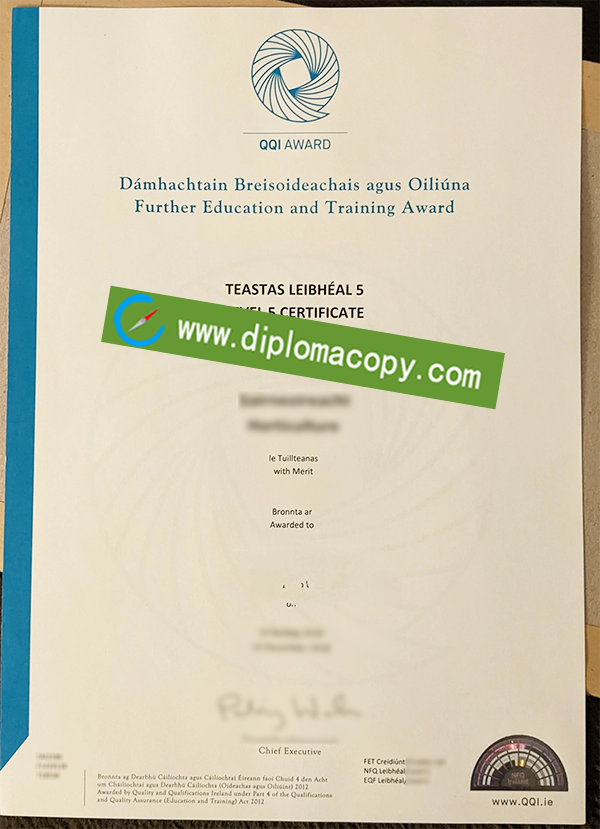 QI Award degree, fake QQI Award diploma