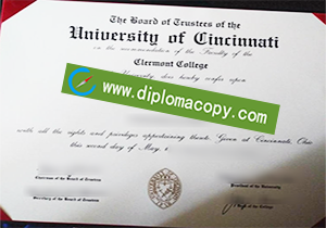 buy fake University of Cincinnati degree