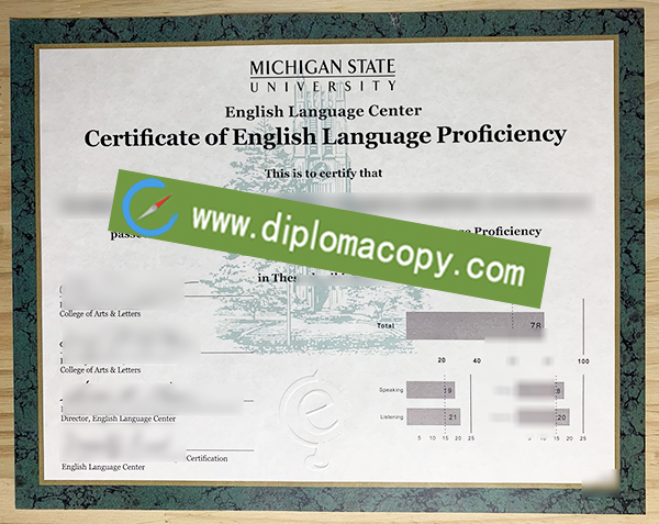 MSU diploma, Michigan State University fake certificate