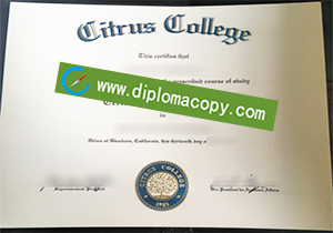 buy fake Citrus College diploma
