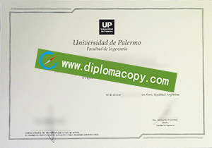 buy fake University of Palermo degree