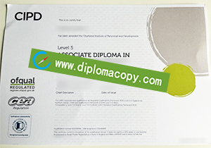 buy CIPD fake diploma