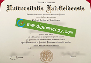 buy fake Fairfield University diploma