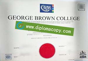 buy fake George Brown College certificate