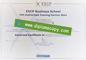 buy fake ESCP Business School degree