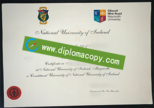 buy fake Maynooth University diploma