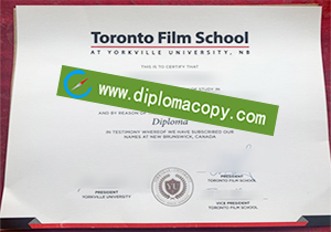 buy fake Toronto Film School diploma