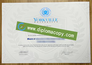 buy fake Yorkville University certificate