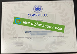 buy fake Yorkville University diploma