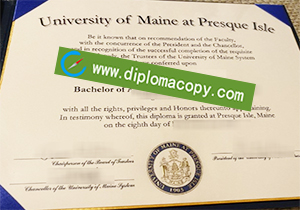 buy fake UMPI diploma